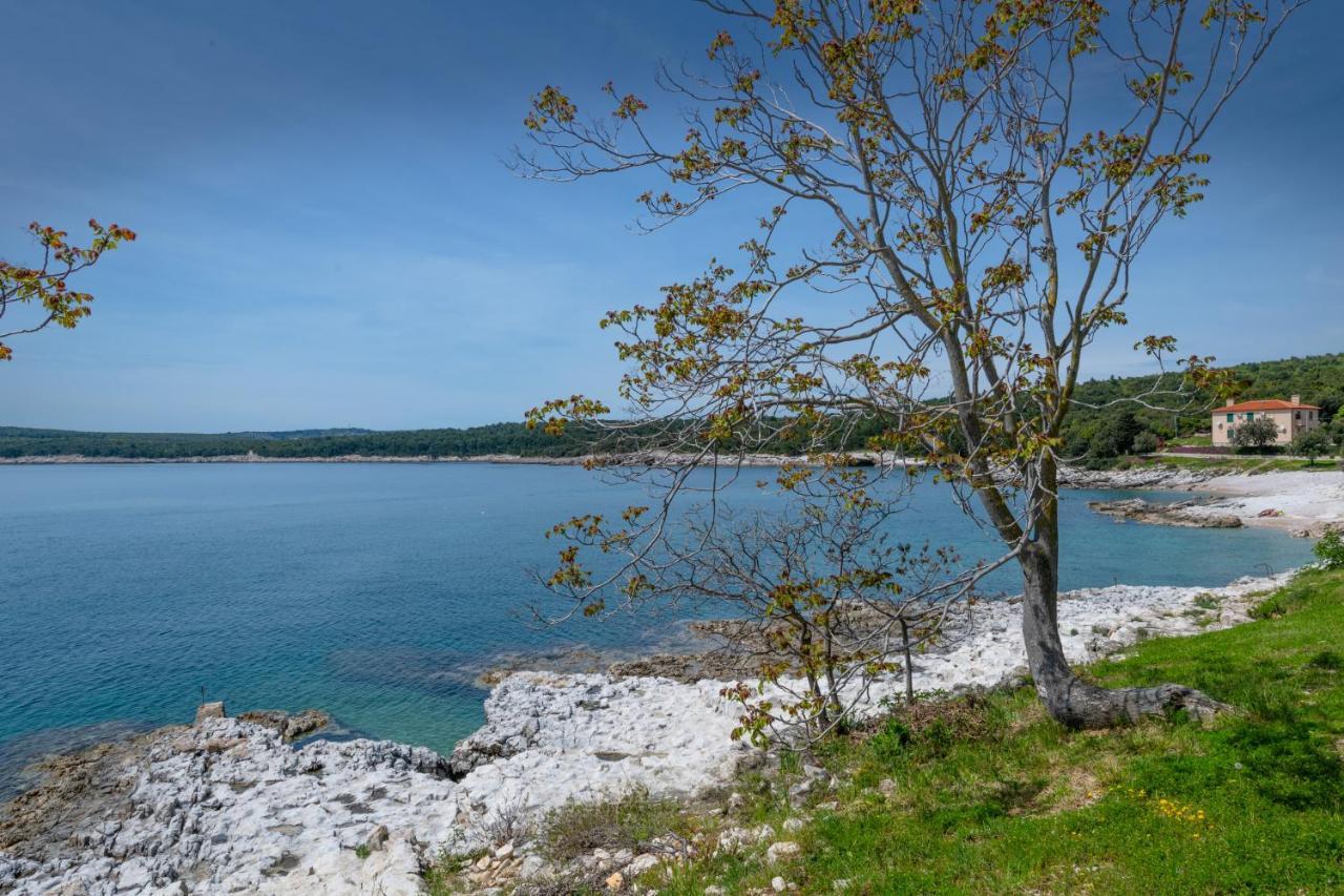 Apartment Dobric Koromačno Exteriér fotografie