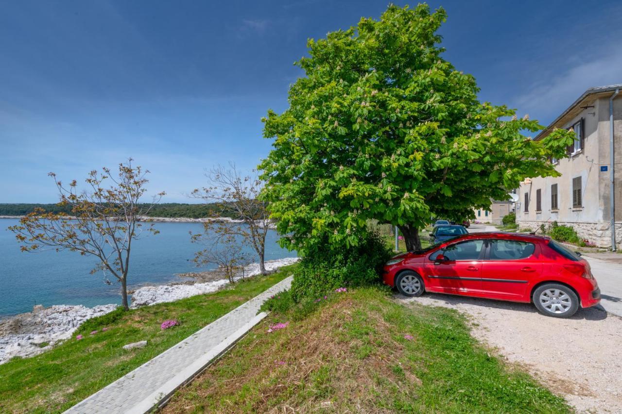 Apartment Dobric Koromačno Exteriér fotografie